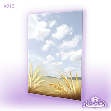 דפי רקע - שדה שיבולים