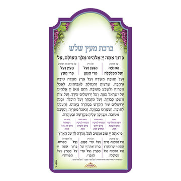 "ברכת מעין שלוש" – מגנט מהודר