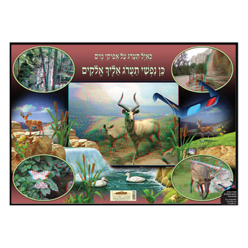 פוסטר כאיל תערוג תלת מימד
