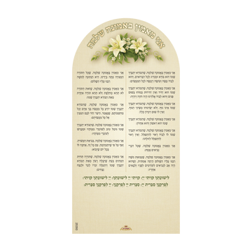 מגנט י״ג עקרים - אני מאמין פרחים קלאסי