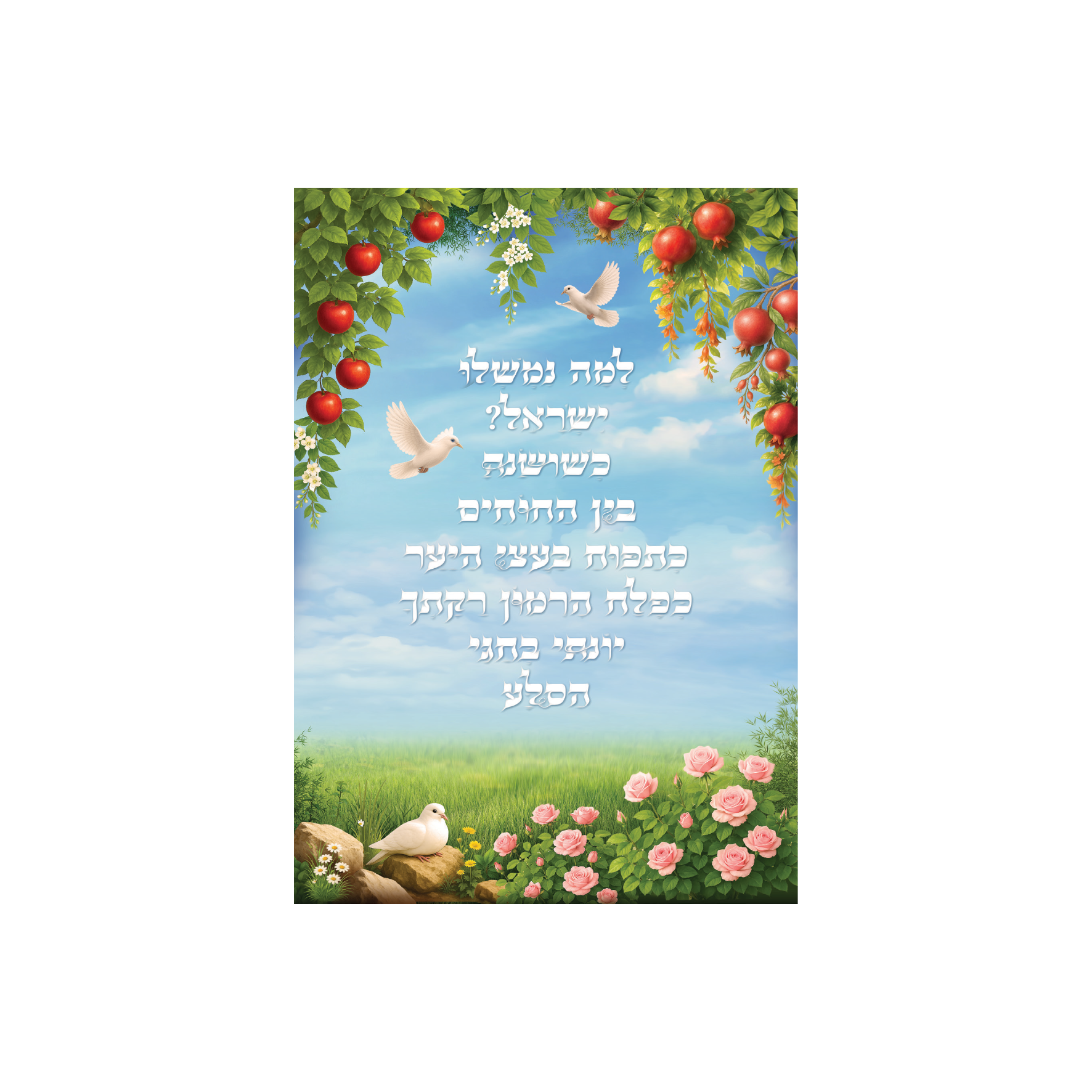 פוסטר יונתי בחגוי הסלע