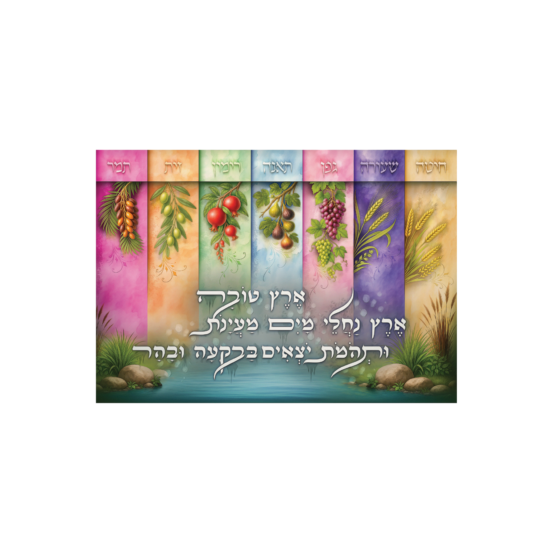 פוסטר שבעת המינים גווני הקשת